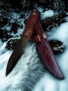 nóż myśliwski, hunting knife, Jagdmesser